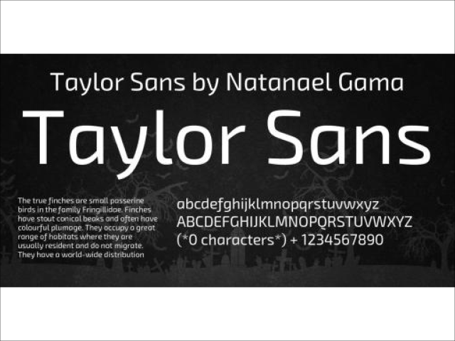Taylor Sans