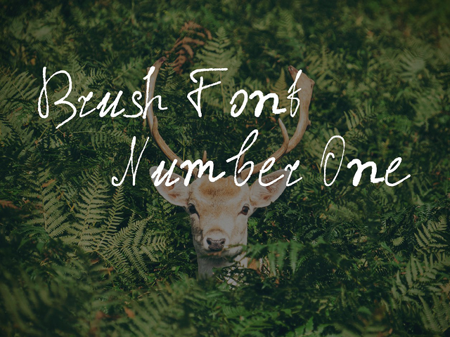 Brush Font Number One
