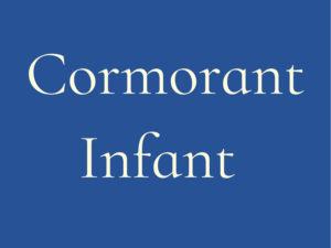 Cormorant Infant