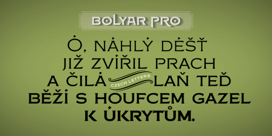 FM Bolyar Pro